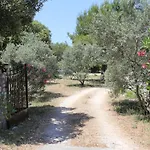 Διαμέρισμα By The Sea Drace, Peljesac - 10211 *