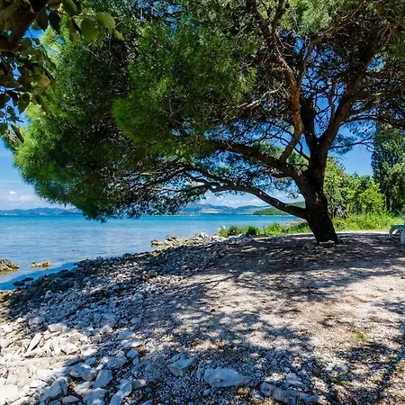 By The Sea Drace, Peljesac - 10211 Apartmán Janjina