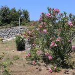 Apartman By The Sea Drace, Peljesac - 10211 *