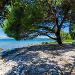 By The Sea Drace, Peljesac - 10211 Apartman Janjina