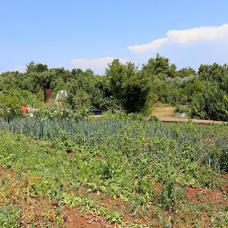 By The Sea Drace, Peljesac - 10211 Appartamento Janjina