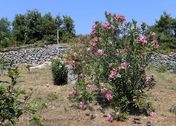 Daire By The Sea Drace, Peljesac - 10211 *