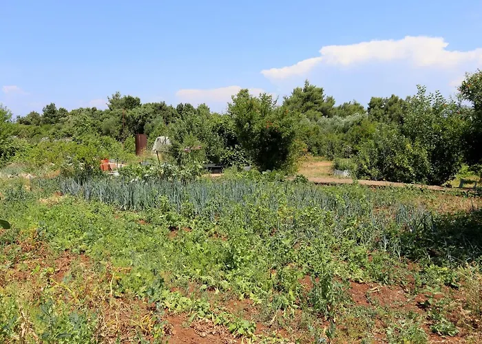 By The Sea Drace, Peljesac - 10211 Daire Janjina